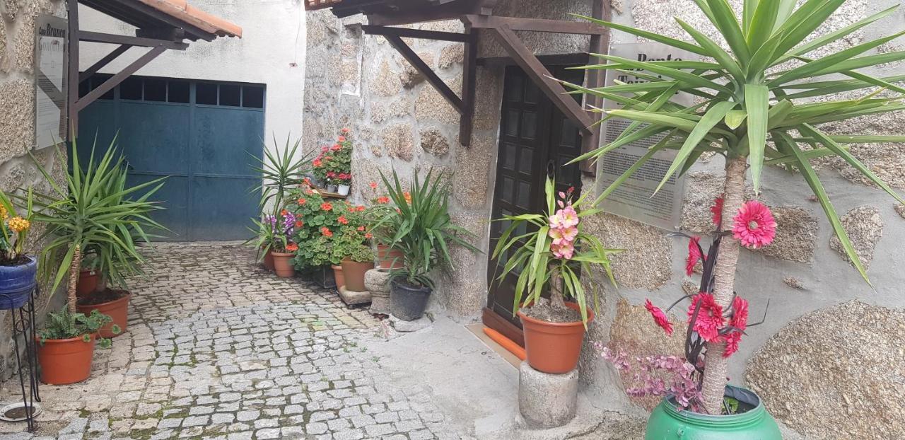 Casa Bento Teixeira Apartment